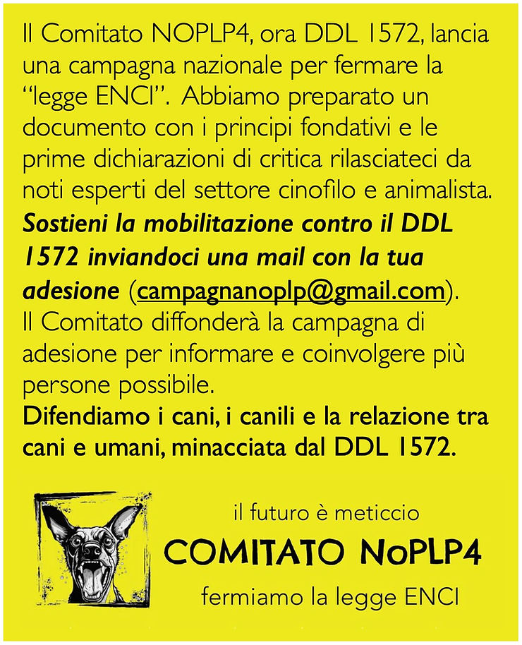 DDL 1572 (ex PLP4): una legge che colpisce i cani meticci e chi li adotta. Analisi critica, punti oscuri e perché questa proposta è sbagliata nei presupposti e nei fatti.