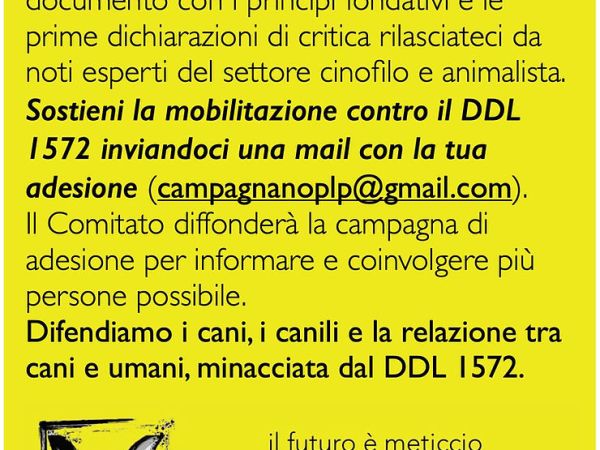 DDL 1572: quando la paura diventa legge (e i meticci il capro&nbsp;espiatorio)
