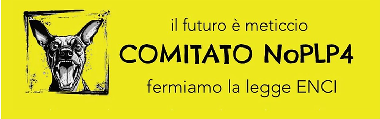DDL 1572 (ex PLP4): una legge che colpisce i cani meticci e chi li adotta. Analisi critica, punti oscuri e perché questa proposta è sbagliata nei presupposti e nei fatti.