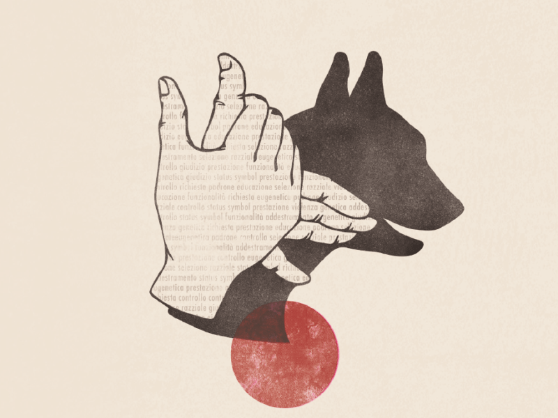 “I Cani di&nbsp;Domani”