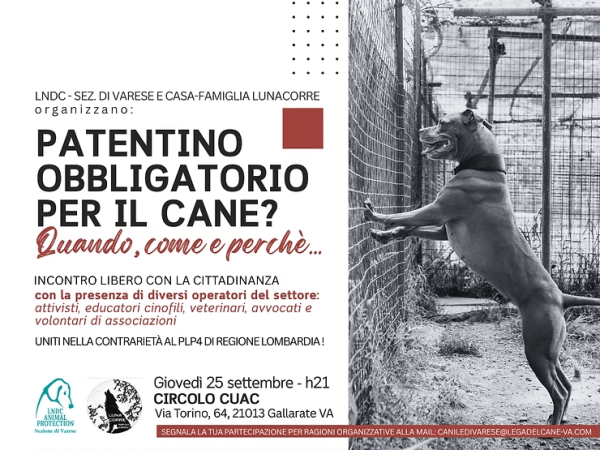 PATENTINO OBBLIGATORIO PER IL&nbsp;CANE?