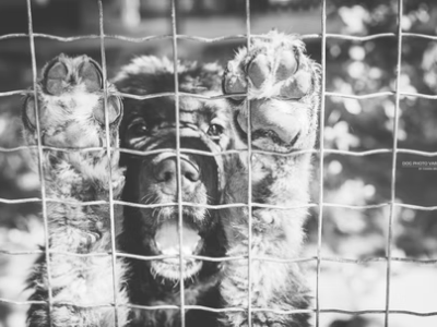 Comunicazione 12 Agosto&nbsp;2025