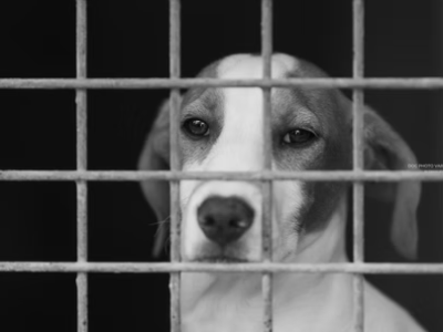 2° comunicato NO&nbsp;PLP