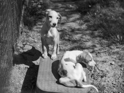 Comunicazione 13 agosto&nbsp;2025