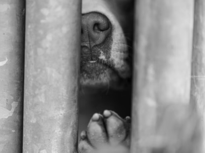 Comunicazione 5 Agosto&nbsp;2025