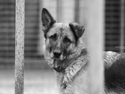 Comunicazione 13 Luglio&nbsp;2025