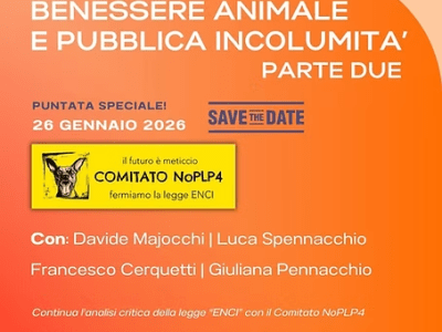 I fatti prima delle accuse: cosa è successo davvero a&nbsp;Lecco
