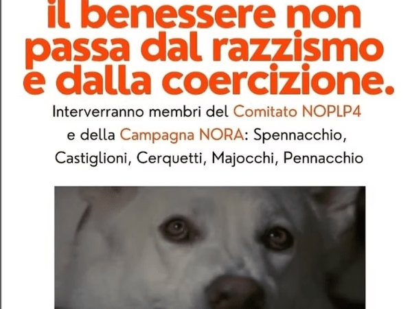 17 gennaio 2026 il C.S. Galeone –&nbsp;Lecco