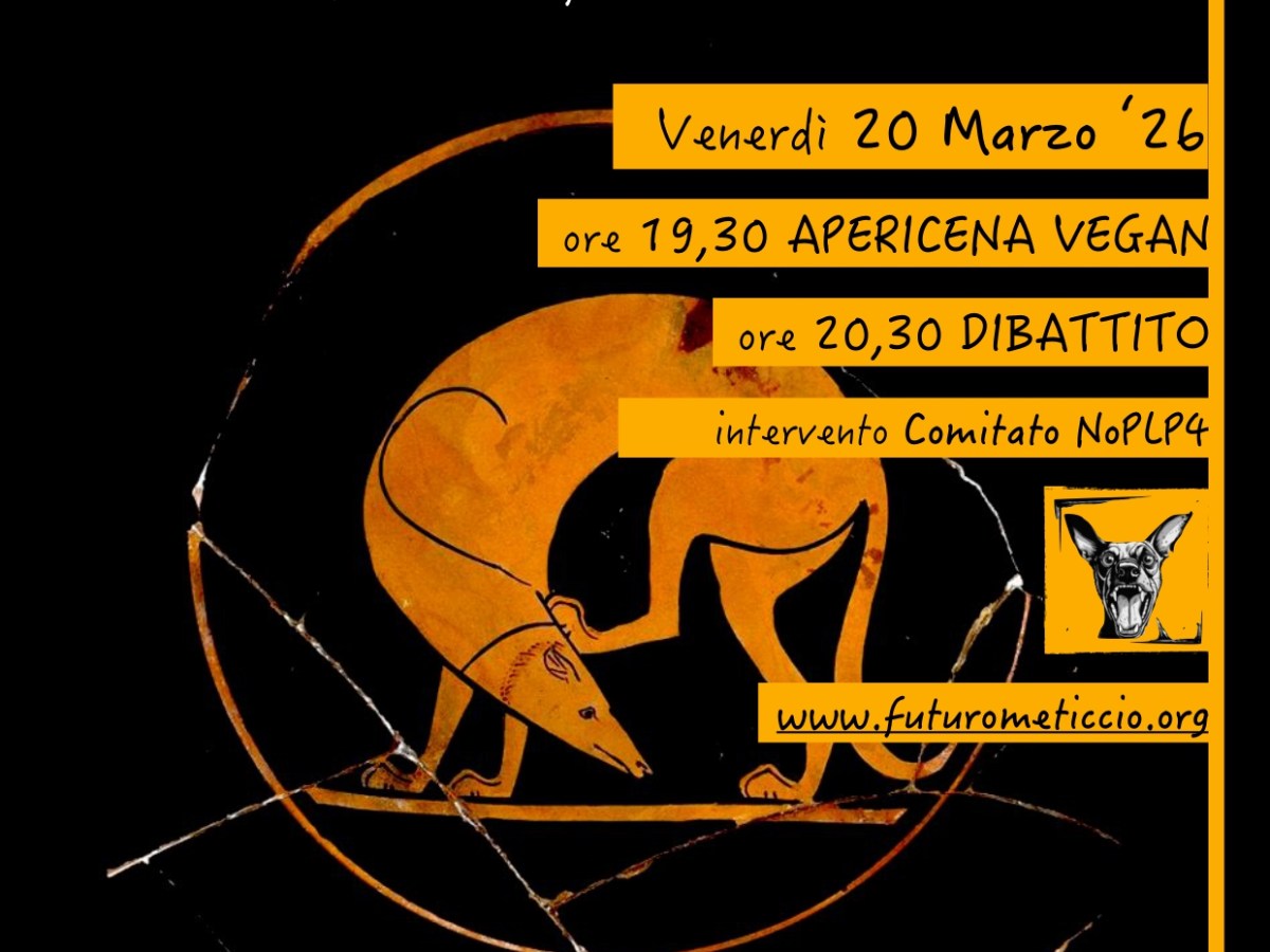 Bergamo 20 Marzo Serata di contro-informazione contro il&nbsp;DDL1572