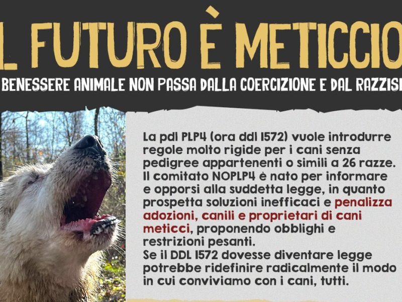 19 Maggio, Circolo Arci Impatto Zero – Pavia serata di confronto e&nbsp;condivisione