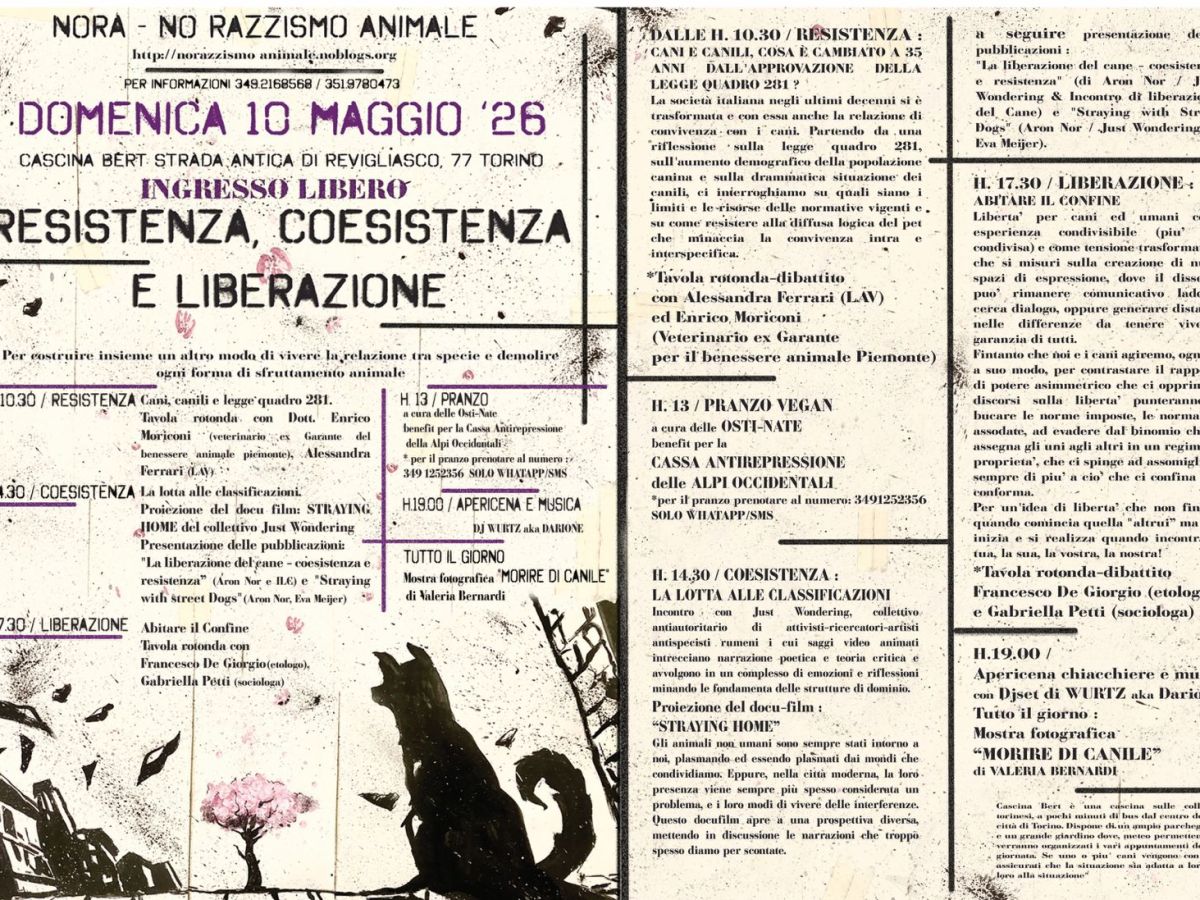10 Maggio Cascina Bert Torino “RESISTENZA, COESISTENZA E&nbsp;LIBERAZIONE”